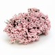 Flores para bodas - Bolsa 12 pompones flor rosa
